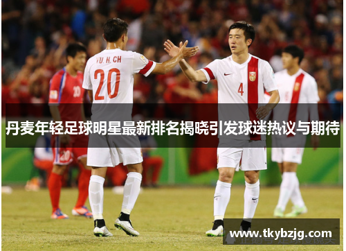 丹麦年轻足球明星最新排名揭晓引发球迷热议与期待